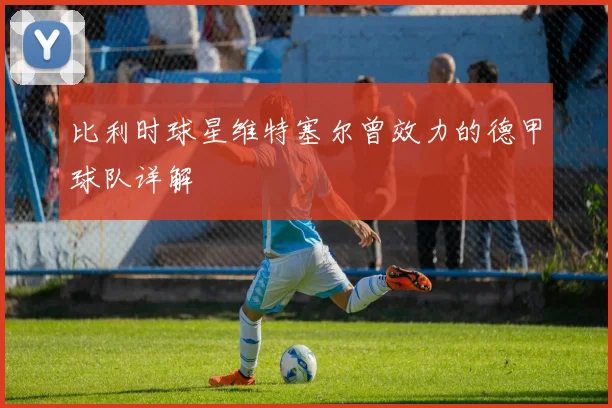 比利时球星维特塞尔曾效力的德甲球队详解